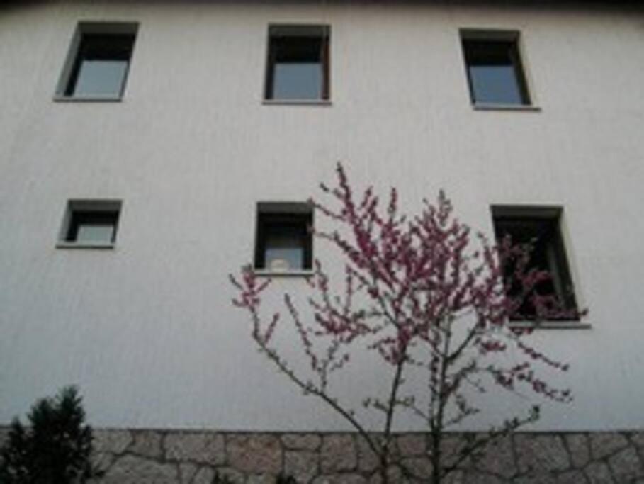 Apartment In Old Town - Top Location SJJ Exteriör bild